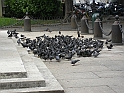 Genova _68